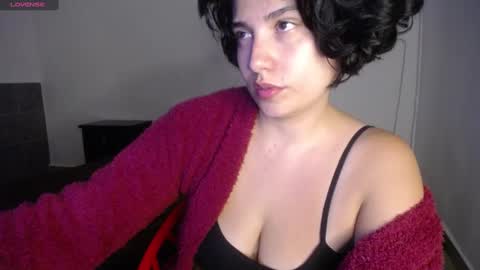 Snapshot of _atenea_golden chatting on 12/27/24, 02:47 atenea online show from 12/27/24, 02:47