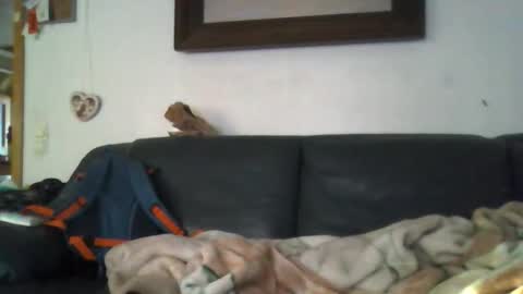 Snapshot of _b0rn4porn_ chatting on 04/27/26, 05:33 b0rn4porn online show from 04/27/26, 05:33