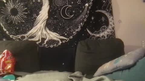 Snapshot of _bandit_b0y chatting on 02/01/25, 02:05 bandit online show from 02/01/25, 02:05