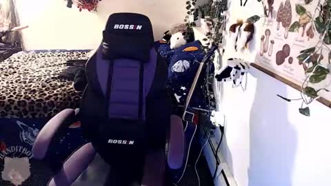 bandit online show from 02/22/26, 11:14