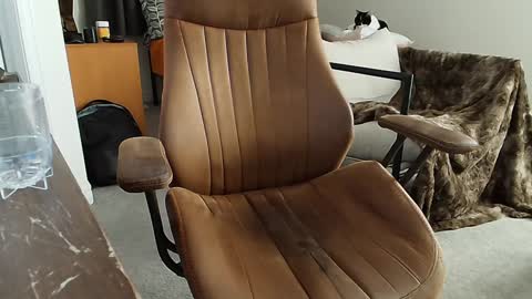 _black_lotus online show from 02/02/25, 01:34