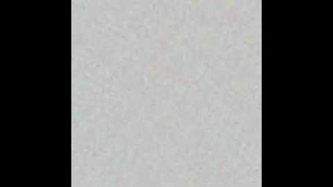 Brenda online show from 11/13/25, 11:42