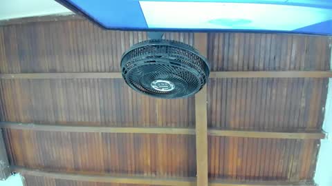 Candy online show from 11/21/25, 06:06