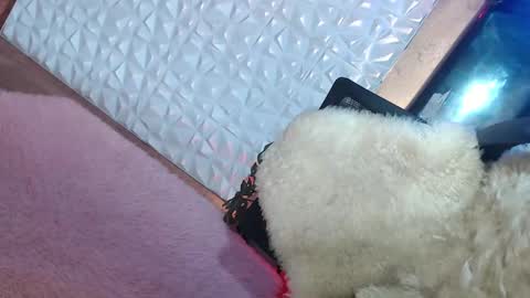 Caroline online show from 01/19/25, 01:55