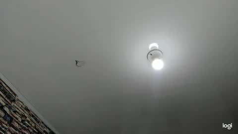 Snapshot of _casandra11 chatting on 01/23/25, 09:39 _casandra11 online show from 01/23/25, 09:39