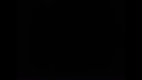 cat online show from 02/05/25, 12:27