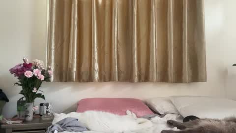 Snapshot of _chelsea___ chatting on 02/16/25, 09:16 Chelsea xo online show from 02/16/25, 09:16