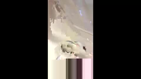 Da d1ck online show from 03/02/25, 06:08