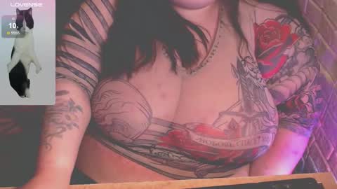 Snapshot of _ellybelly_ chatting on 03/21/26, 11:59 LIsa online show from 03/21/26, 11:59