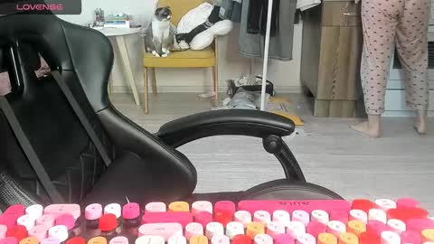 Snapshot of _feralberry__ chatting on 03/02/26, 07:15 Alis online show from 03/02/26, 07:15