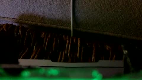 Rex online show from 02/06/26, 02:27