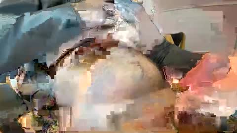 Ginger boy online show from 02/09/25, 10:20