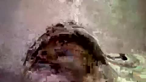 _hershey003 online show from 01/11/25, 08:33