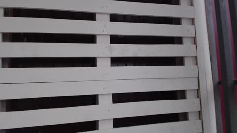 Snapshot of _hidden_frommymoom_ chatting on 05/22/26, 12:33 Criss4u online show from 05/22/26, 12:33