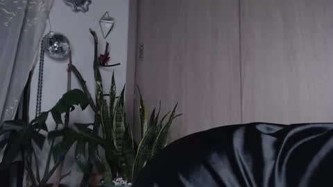 Snapshot of _hotpink chatting on 03/27/26, 11:37 Jenn online show from 03/27/26, 11:37