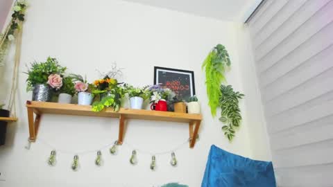 Ivanna  online show from 01/23/25, 11:05