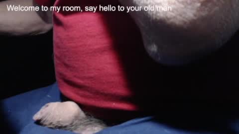 Snapshot of _jimmini chatting on 02/21/25, 04:16 _jimmini online show from 02/21/25, 04:16