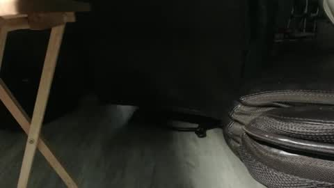 Snapshot of _jimmini chatting on 12/14/25, 08:02 _jimmini online show from 12/14/25, 08:02