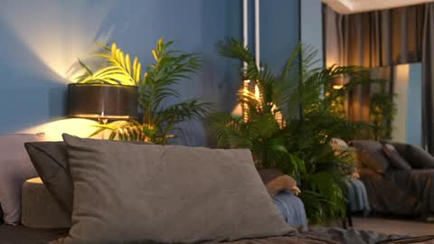 Snapshot of _keti_ chatting on 11/01/25, 11:29 FANSLY --- anal in private 700 tokens online show from 11/01/25, 11:29