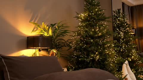 Snapshot of _keti_ chatting on 11/30/25, 06:12 FANSLY --- anal in private 700 tokens online show from 11/30/25, 06:12