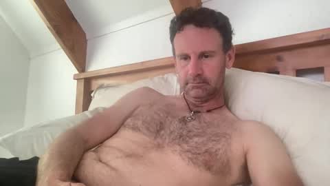 Kiwi online show from 11/07/25, 09:37