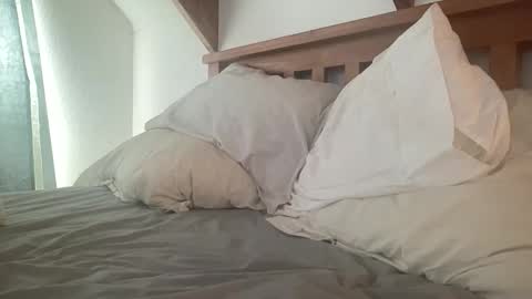 Kiwi online show from 12/02/25, 07:53