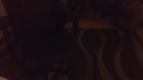 Snapshot of _krakauer_ chatting on 12/04/24, 05:00 _krakauer_ online show from 12/04/24, 05:00