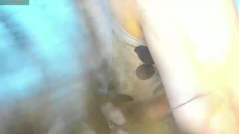 Snapshot of _litle_mily_ chatting on 02/15/25, 09:15 Mily online show from 02/15/25, 09:15