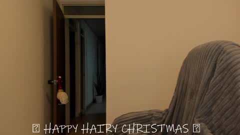 _miss_coco_ online show from 12/25/24, 12:48