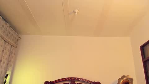 Snapshot of _nonbinaryangel_ chatting on 03/19/26, 12:47 Sammy online show from 03/19/26, 12:47