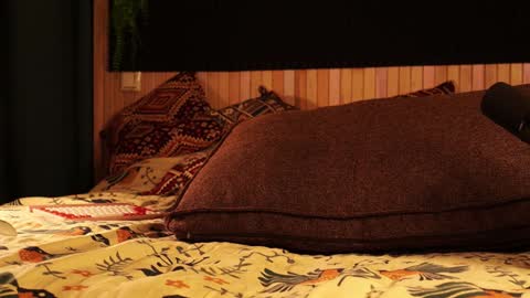 Snapshot of _northern_girl_ chatting on 01/21/25, 03:10 Lady Jess from house of Dragonborns online show from 01/21/25, 03:10