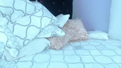 Alexa online show from 02/24/25, 07:19