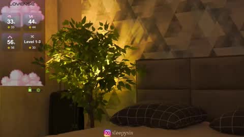 Snapshot of _sleepysis_ chatting on 01/14/26, 02:44 Ann online show from 01/14/26, 02:44