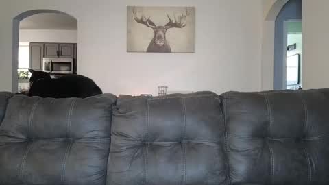 SophiaGraceKnight online show from 10/03/25, 04:37