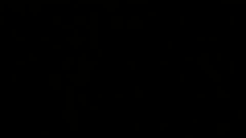 Melisa online show from 02/20/25, 02:46