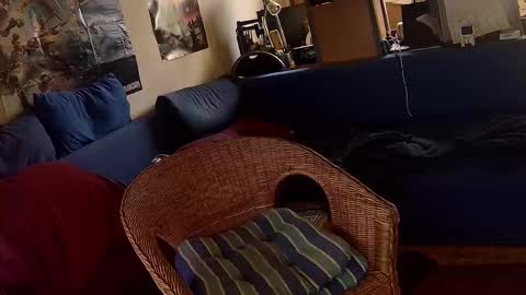 Snapshot of _svenerd87___ chatting on 10/30/25, 01:23 Sven online show from 10/30/25, 01:23