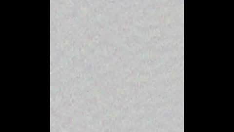 Snapshot of _tammarra_ chatting on 10/31/25, 11:55 _tammarra_ online show from 10/31/25, 11:55