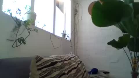 Snapshot of _tutti_frutti_ chatting on 02/05/25, 09:18 _tutti_frutti_ online show from 02/05/25, 09:18