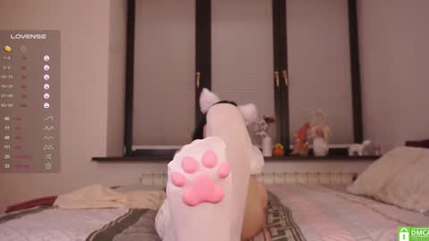 Viola online show from 01/24/25, 07:49