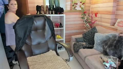 Sol online show from 03/31/26, 10:59