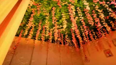   online show from 04/12/26, 11:37