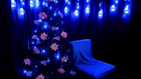    online show from 01/01/25, 01:04