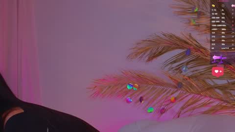 Ally online show from 01/24/25, 03:45