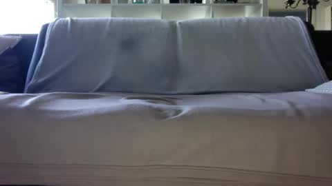 Snapshot of a_nice_dick_77 chatting on 04/16/26, 07:31 a_nice_dick_77 online show from 04/16/26, 07:31