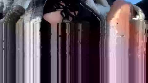 Snapshot of a_rae93 chatting on 10/14/25, 04:19 a_rae93 online show from 10/14/25, 04:19