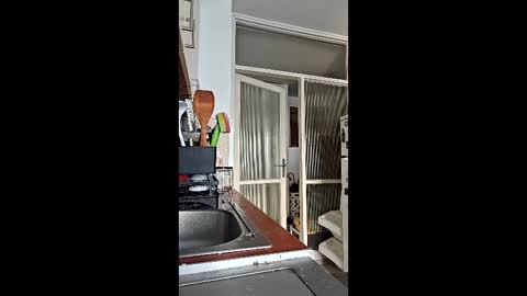 Snapshot of abbel_stone chatting on 03/15/26, 03:51 abbel_stone online show from 03/15/26, 03:51