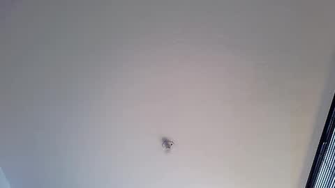 Martina online show from 01/12/25, 01:48