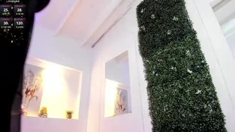 Abby  online show from 02/11/25, 06:51