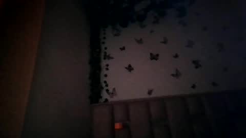 abby_moss_2 online show from 07/01/26, 12:51