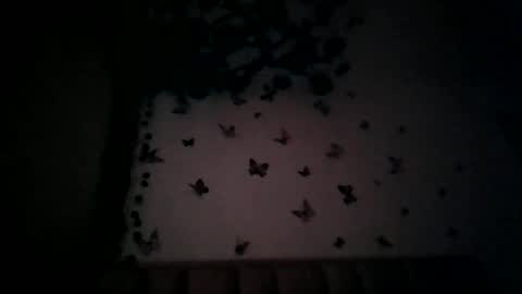 abby_moss_2 online show from 07/17/26, 12:45